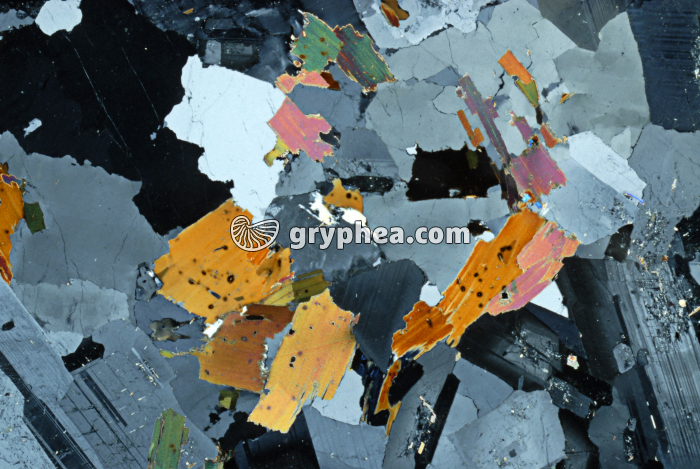 Granite LPA x5 - gryphea.com